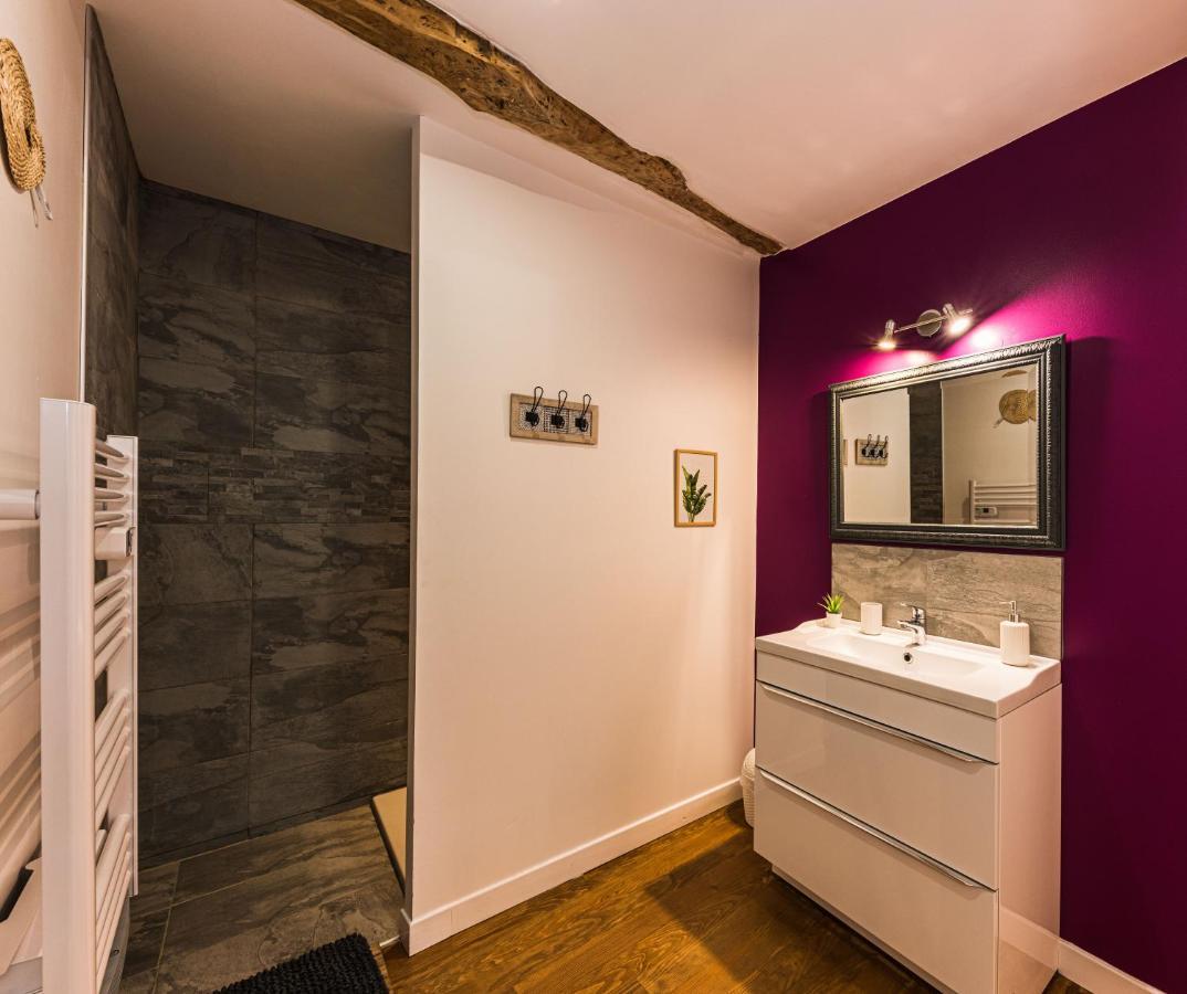 Les Gites Du Chateau - L Appartement Du Roi - Magnifique Appartement Face Au Chateau Nérac Exteriér fotografie
